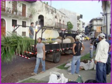 Palms arrive in front of our apartment.