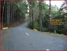 Typical road in Cerro Azul
